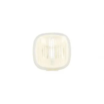 Feu clignotant BLIC 5403-25-016104C