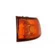 Feu clignotant BLIC 5403-30-003105P - Visuel 1