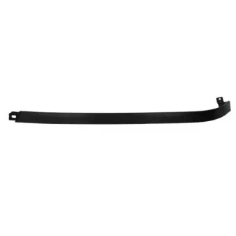 Bordure de phare BLIC 5410-01-35129911P