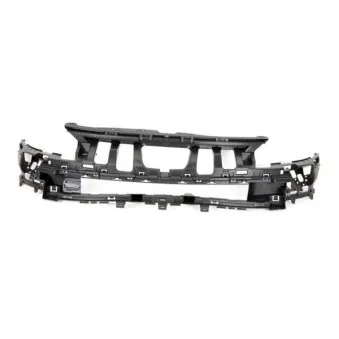 Grille de radiateur BLIC 5502-00-5562940P
