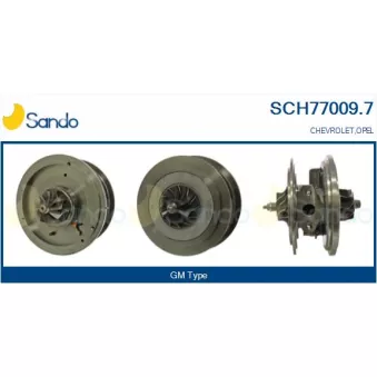 Groupe carter, turbocompresseur SANDO SCH77009.7
