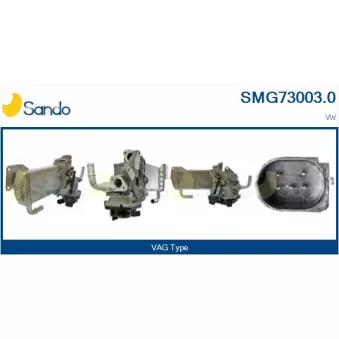 Module-EGR SANDO SMG73003.0