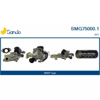 Module-EGR SANDO SMG75000.1