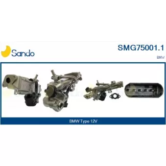 Module-EGR SANDO SMG75001.1