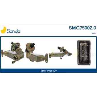 Module-EGR SANDO SMG75002.0
