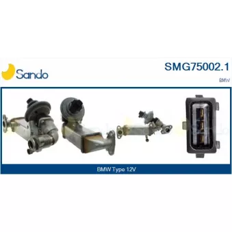 Module-EGR SANDO SMG75002.1