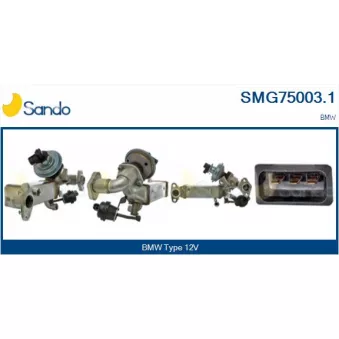 Module-EGR SANDO SMG75003.1
