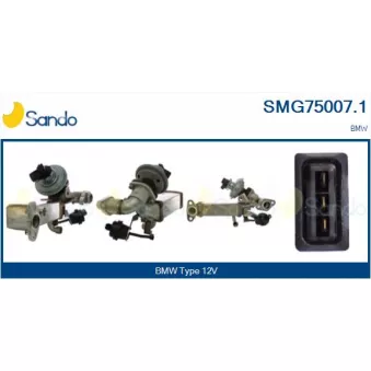 Module-EGR SANDO SMG75007.1