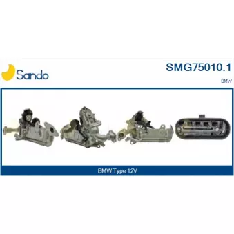 Module-EGR SANDO SMG75010.1