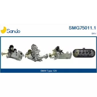Module-EGR SANDO SMG75011.1