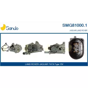 Module-EGR SANDO SMG81000.1