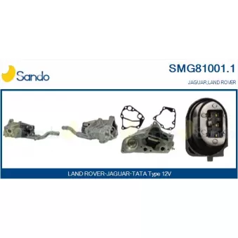 Module-EGR SANDO SMG81001.1