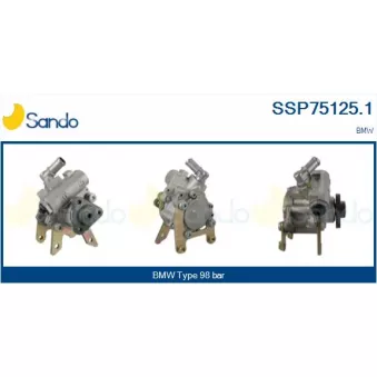 Pompe hydraulique, direction SANDO SSP75125.1