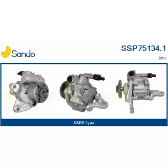 Pompe hydraulique, direction SANDO SSP75134.1
