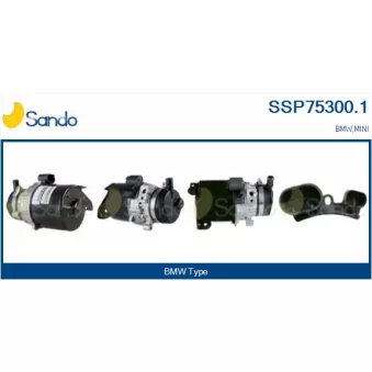 Pompe hydraulique, direction SANDO SSP75300.1