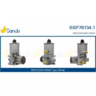 Pompe hydraulique, direction SANDO SSP76134.1