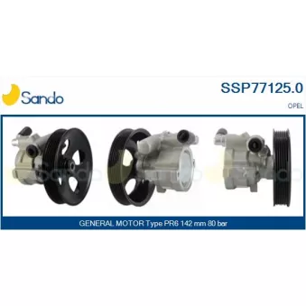 Pompe hydraulique, direction SANDO SSP77125.0