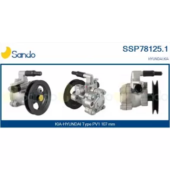 Pompe hydraulique, direction SANDO SSP78125.1