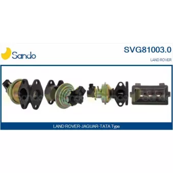 Vanne EGR SANDO SVG81003.0