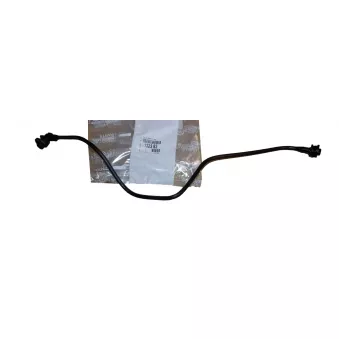 Tuyau De Radiateur OE 132383