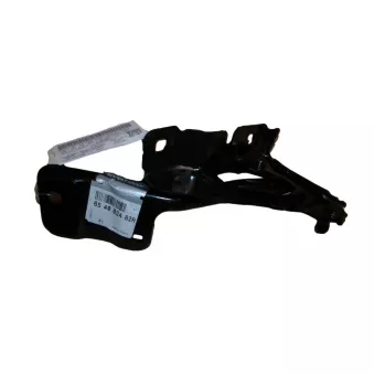 charnière de capot droite OE 654002482R