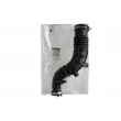 Tuyau d'aspiration, alimentation d'air OE 165764382R - Visuel 1