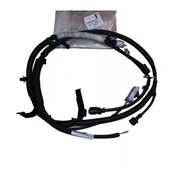 Câble de charge OE 9815786680