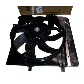 Ventilateur, refroidissement du moteur OE 9675280980