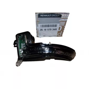 Rétroviseur extérieur OE 261657934R
