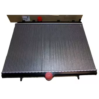 radiateur, refroidissement du moteur OE 1691346680