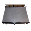 Radiateur, refroidissement du moteur OE 9827174680 - Visuel 1