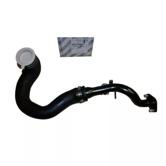 Durite de turbo OE 1635064380