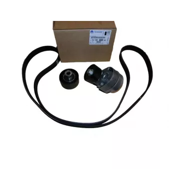 Kit de courroie d'accessoires OE 1613844480