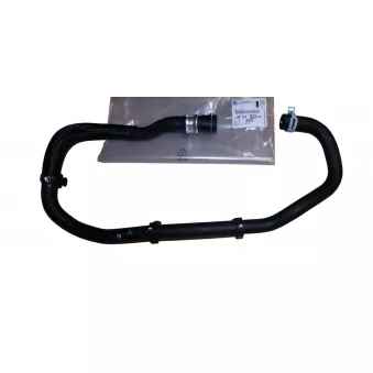 Tuyau de radiateur OE 9812439880