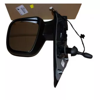 Rétroviseur extérieur OE 98087008XT
