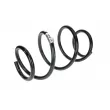Ressort de suspension avant OE 540109956R - Visuel 3
