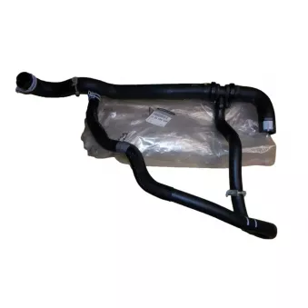 Tuyau de radiateur OE 215019439R