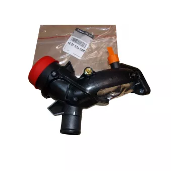 Tuyau d'aspiration, alimentation d'air OE 165763328R