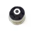 Suspension, corps de l'essieu OE 550440043R - Visuel 2