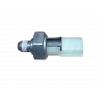 Indicateur de pression d'huile OE 252405053R - Visuel 3
