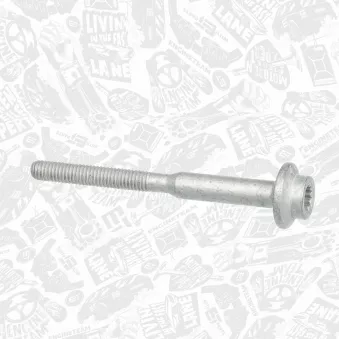 Vis, support pour controleur d'injecteurs ET ENGINETEAM BS0043