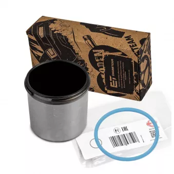 Pilon, Pompe à haute pression ET ENGINETEAM ED0032VR1