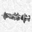 Vilebrequin ET ENGINETEAM HK0036 - Visuel 3