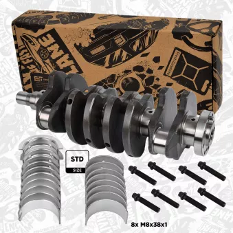Kit de réparation, vilebrequin ET ENGINETEAM