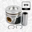 Piston ET ENGINETEAM PM003000 - Visuel 1