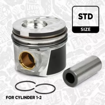 Piston ET ENGINETEAM PM003200