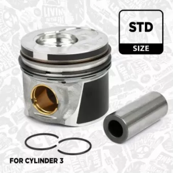 Piston ET ENGINETEAM PM003300