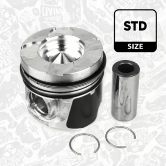 Piston ET ENGINETEAM PM004600
