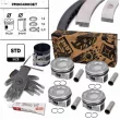 Kit de pistons ET ENGINETEAM PM004900ET - Visuel 1