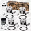 Kit de pistons ET ENGINETEAM PM005500VR1 - Visuel 1